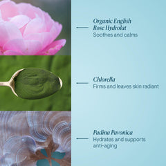 Elemis Pro-Collagen Rose Marine Cream application on face demonstrates upward massage for elasticity.