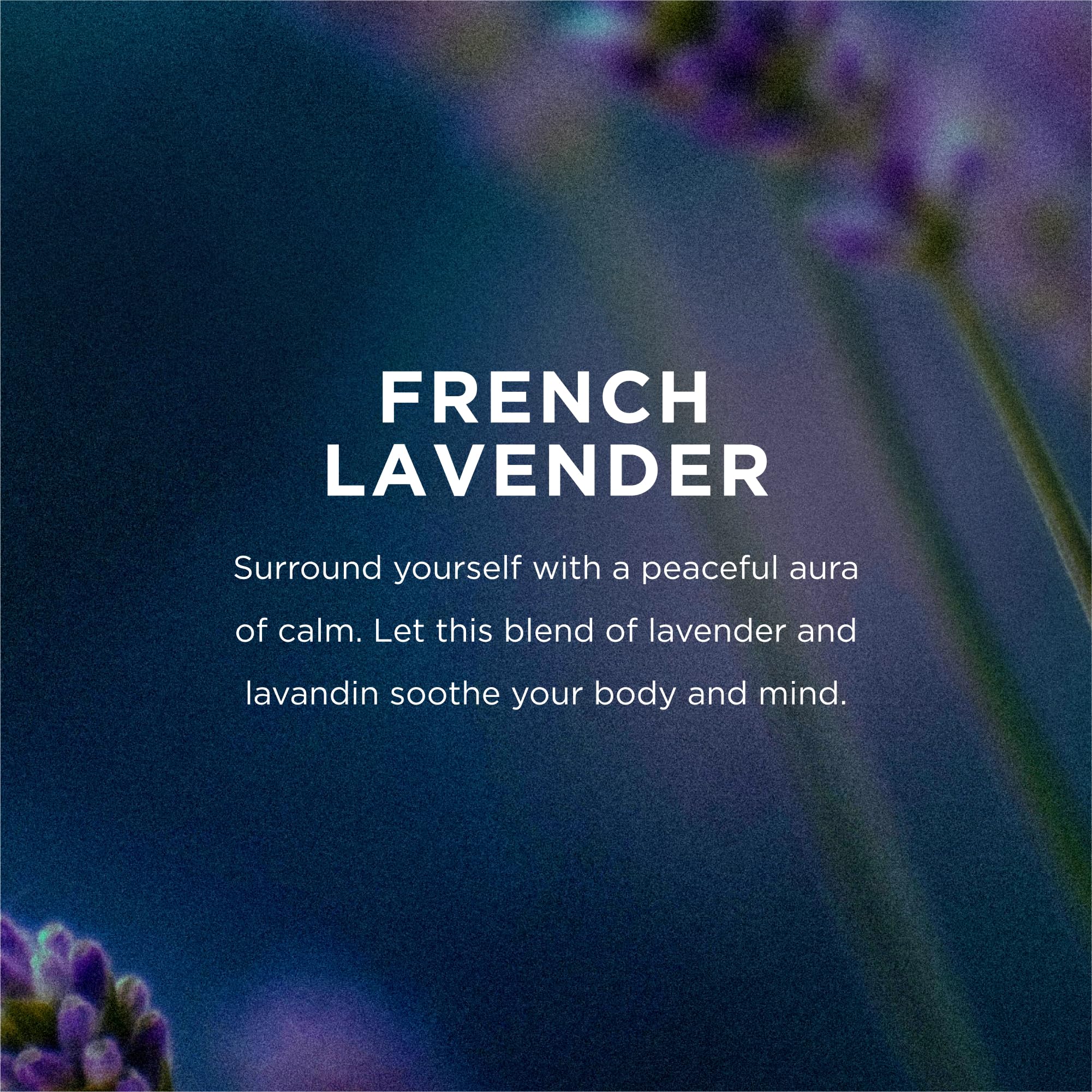 EO French Lavender liquid hand soap label closeup emphasizes natural ingredients and aroma.