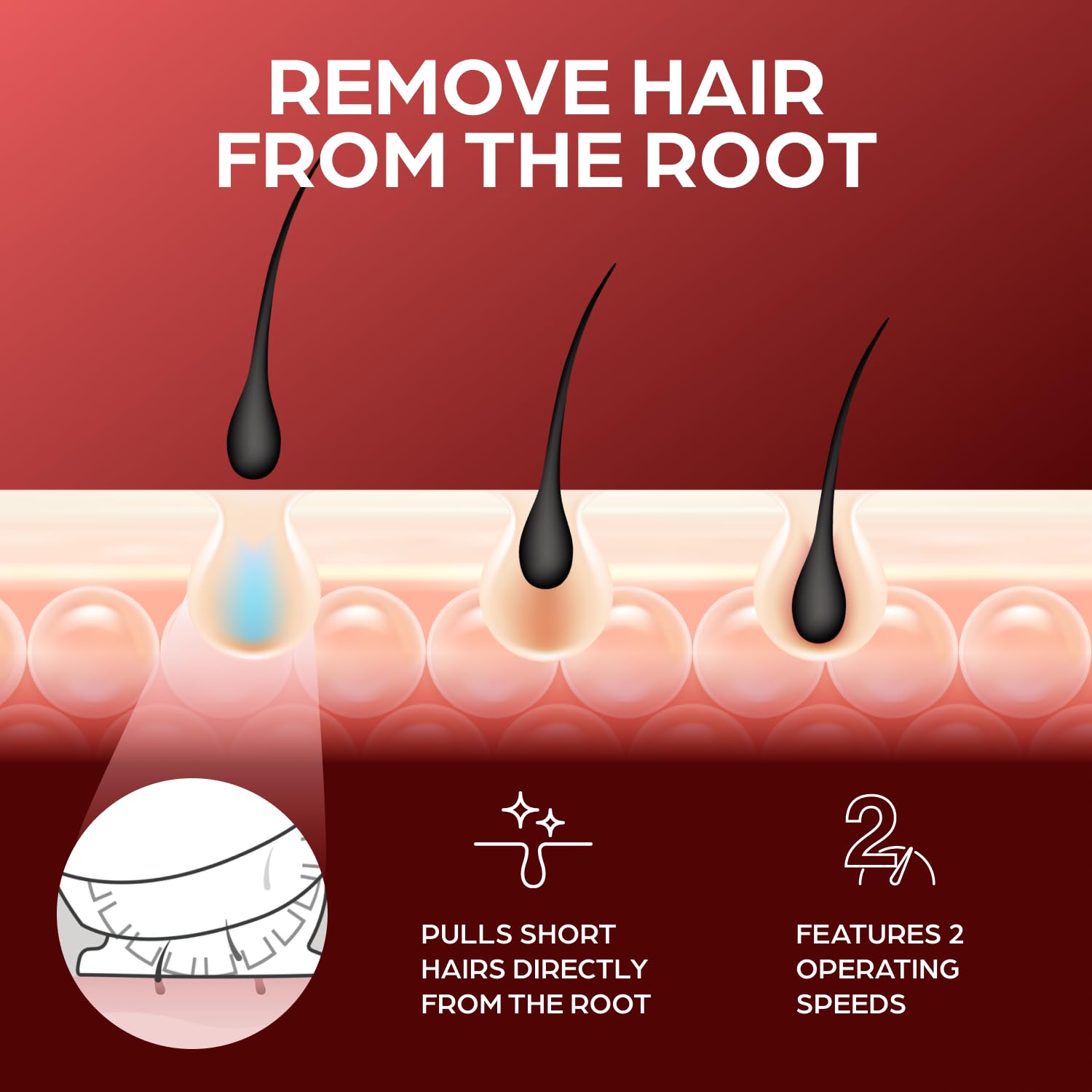 Epilady Legend 4 bikini-line detail image showing gentle grooming for sensitive zones.