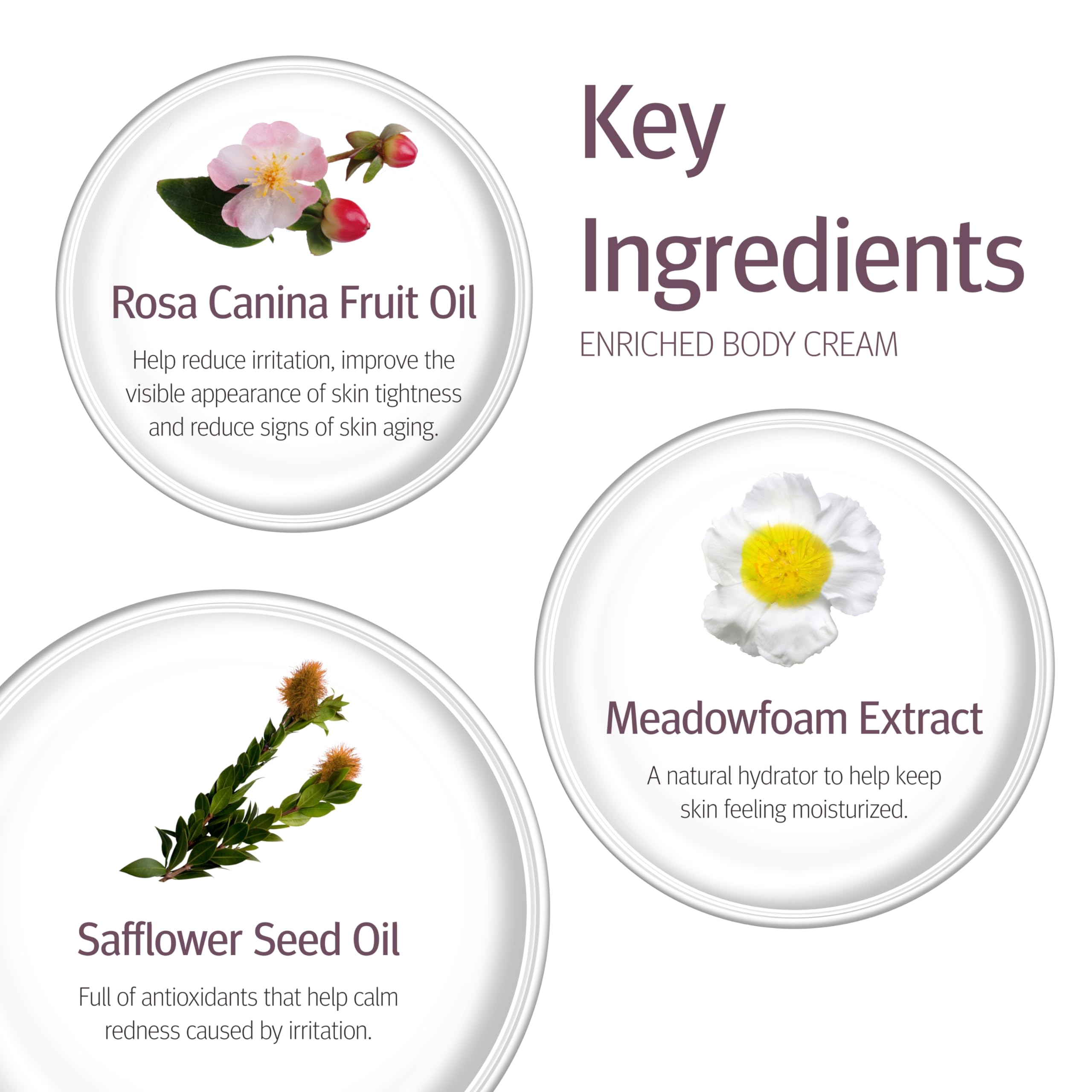 Epionce Enriched Body Cream texture swatch displaying luxurious consistency