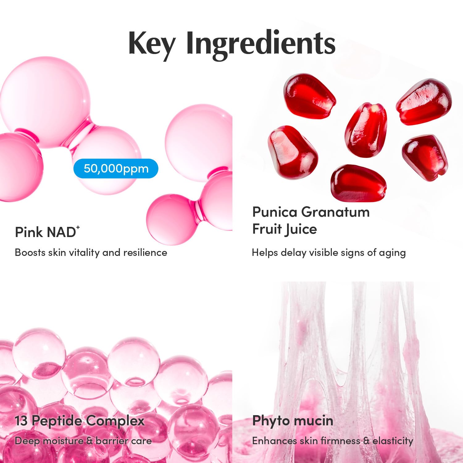 EQQUALBERRY infographic of peptide complex showing targeted skin support