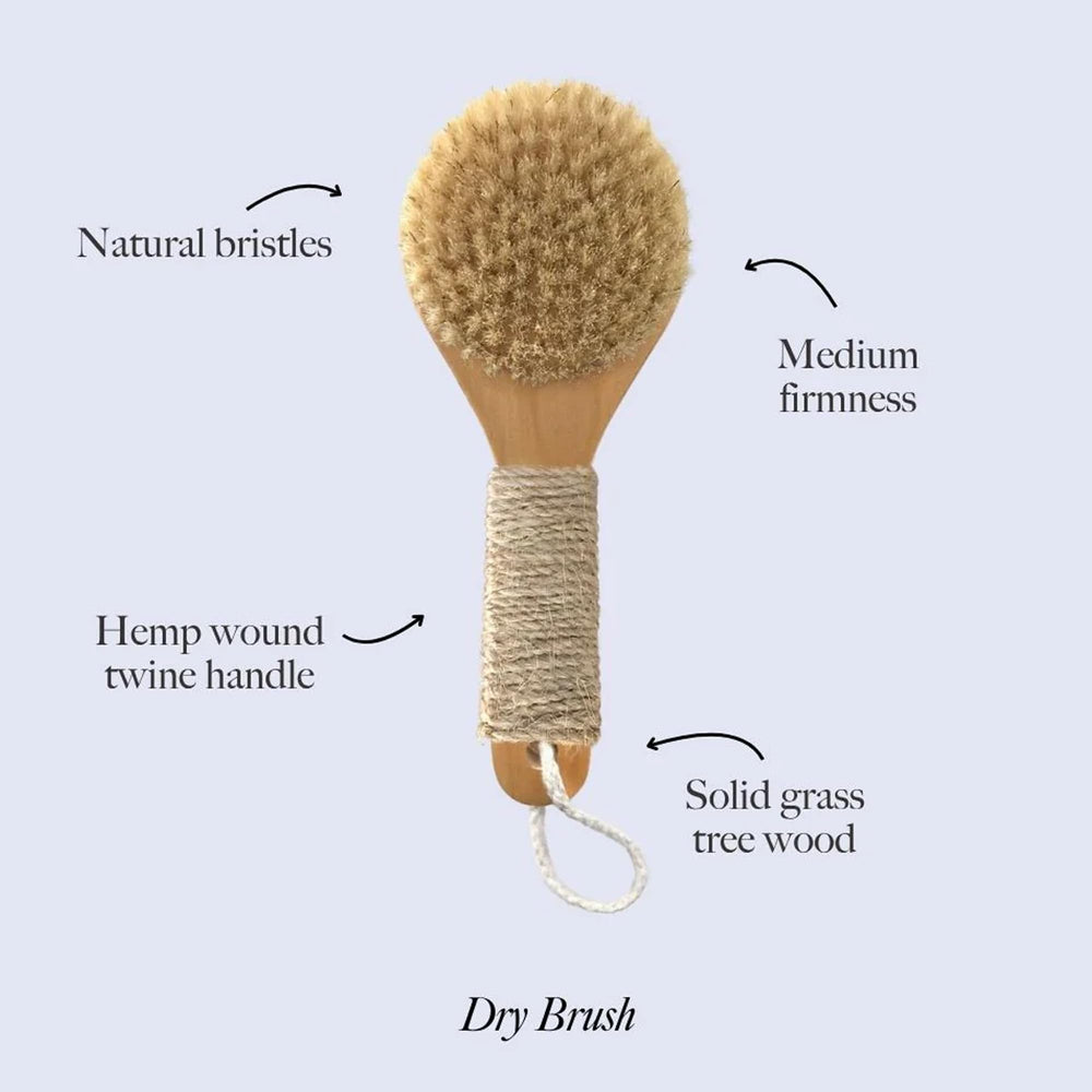 ESKER Dry Brush 8-inch size shown for full-body reach during routines.