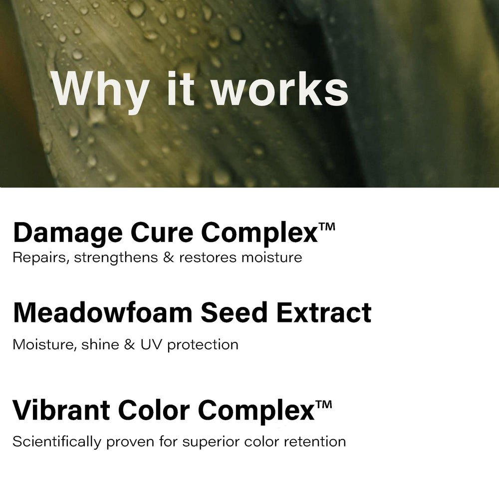 Eufora Bodifying Shampoo packaging on shelf communicates sulfate-free color care benefits
