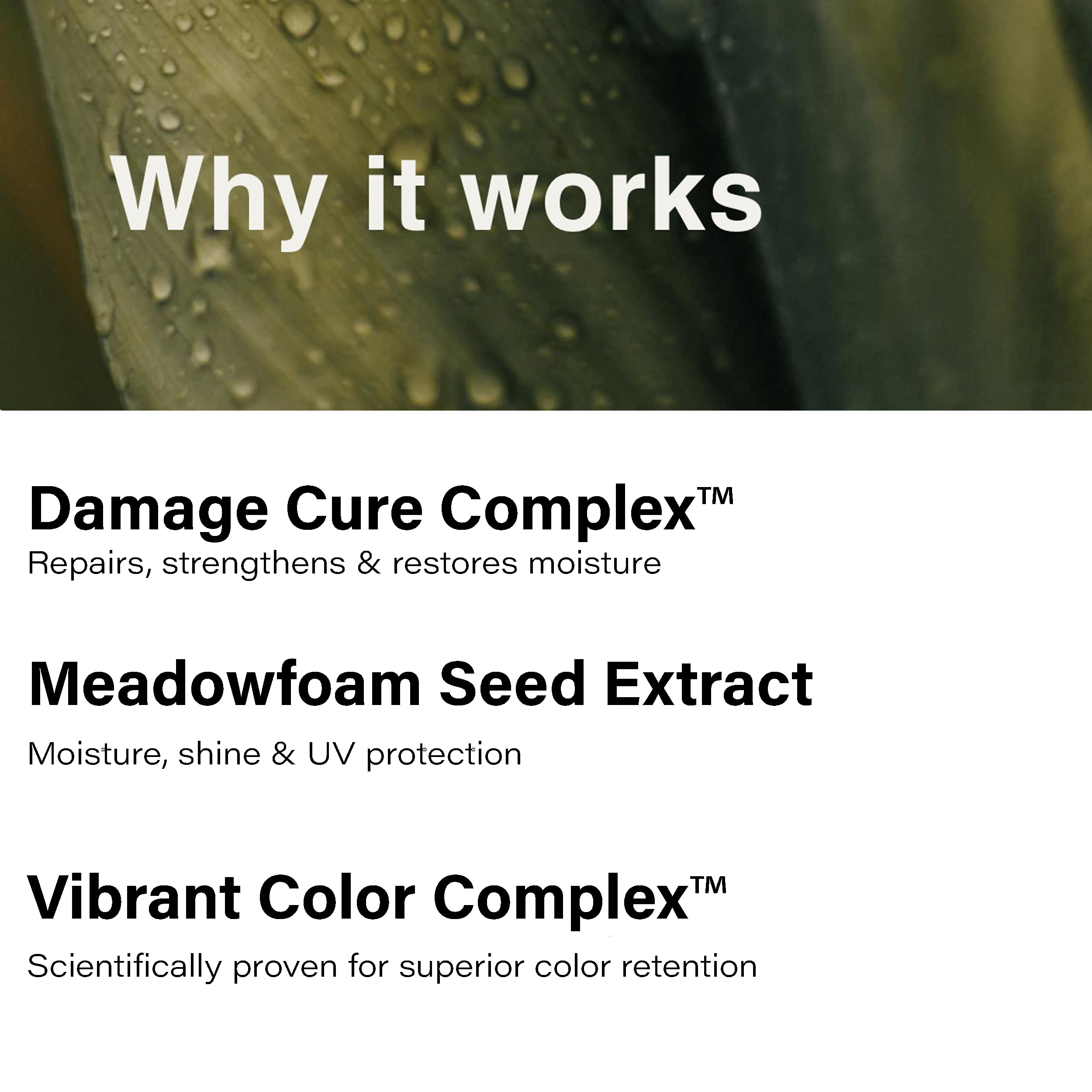 Eufora Bodifying Conditioner smooth cuticle delivery for color-treated hair