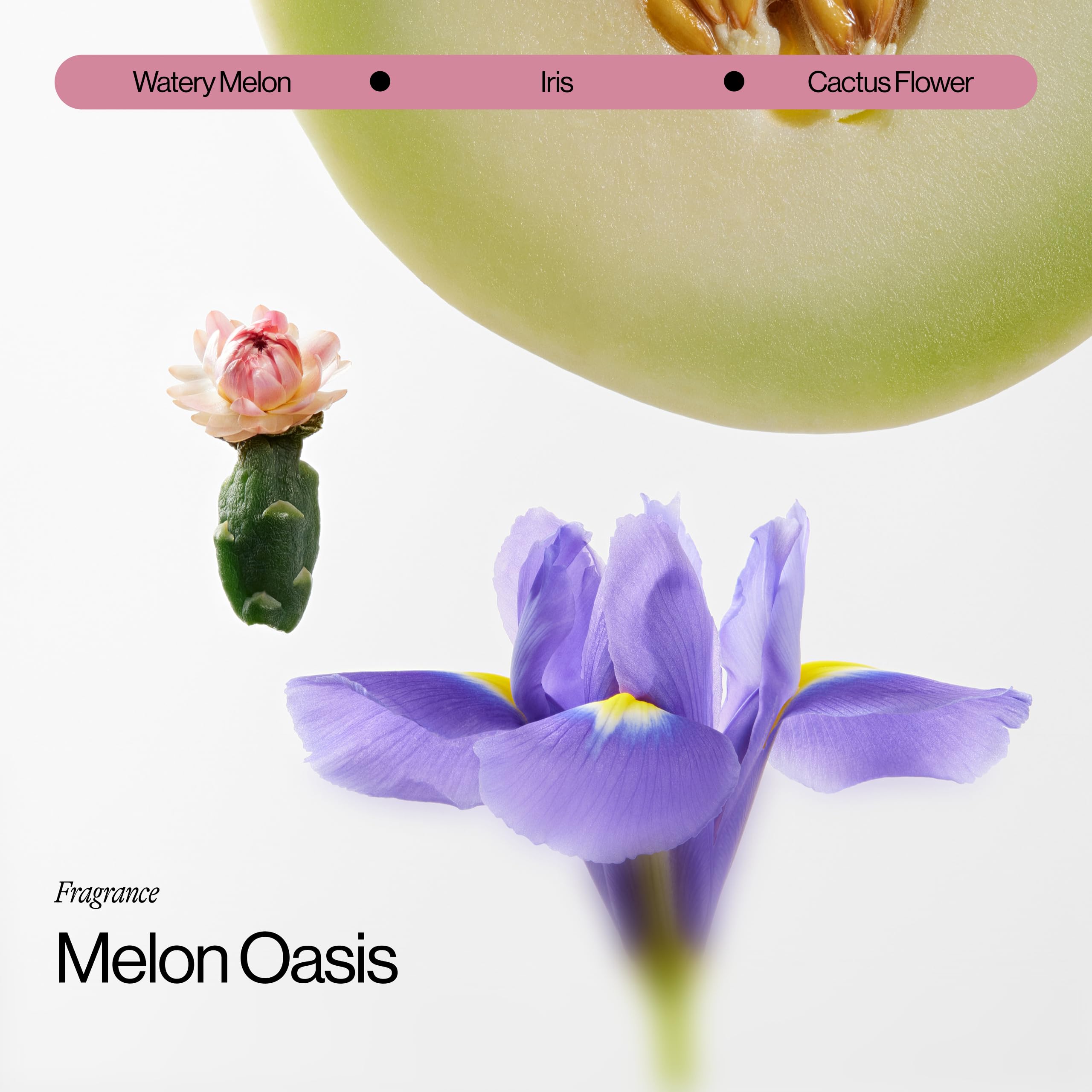 Eva NYC curl cream with melon iris scent evokes refreshing styling ritual.