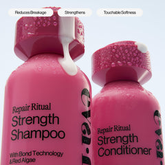 Eva NYC Ritual Repair Shampoo with orange zest and sage scent in view