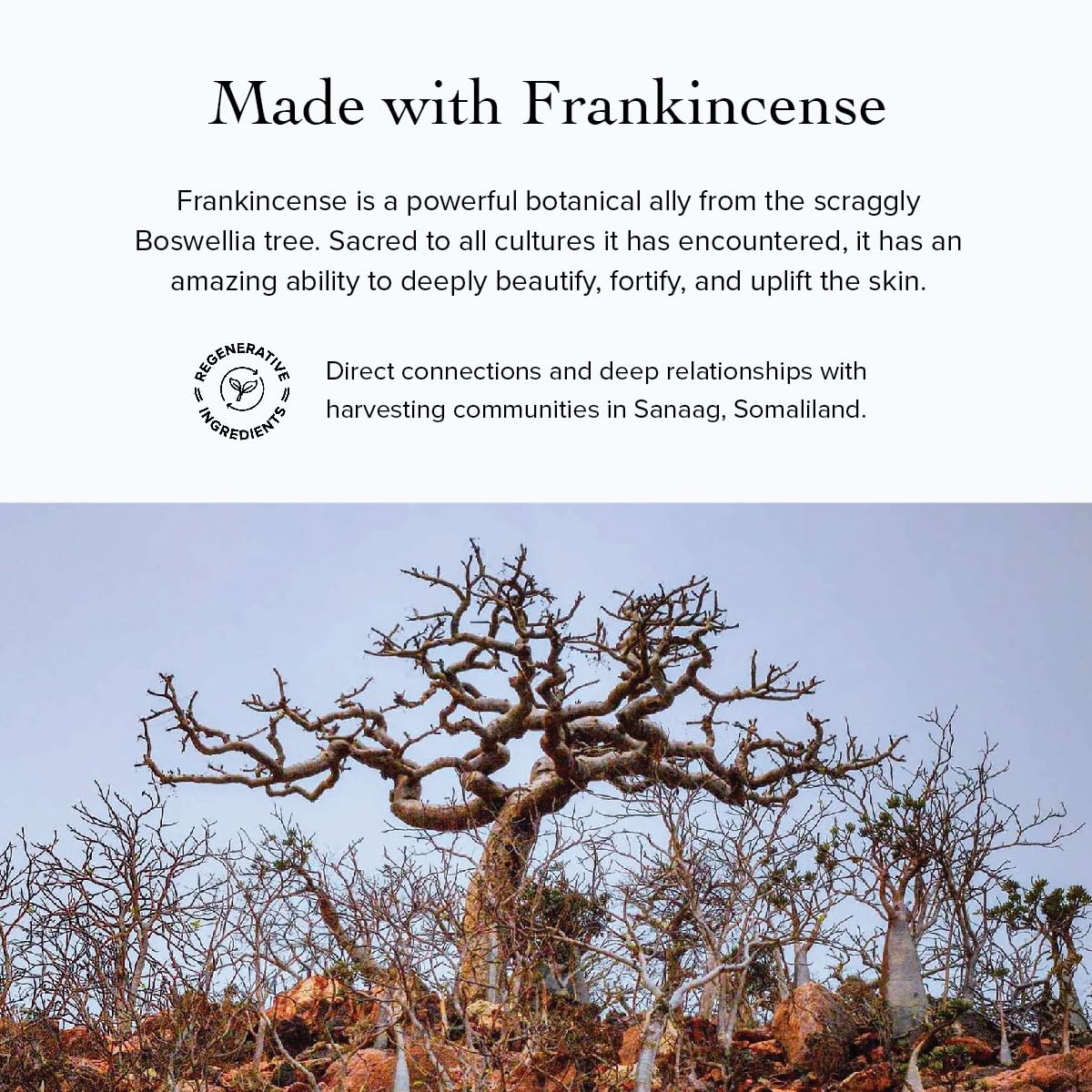 ritual setup featuring evanhealy frankincense hydrosoul, a soothing daily facial hydrosol step.