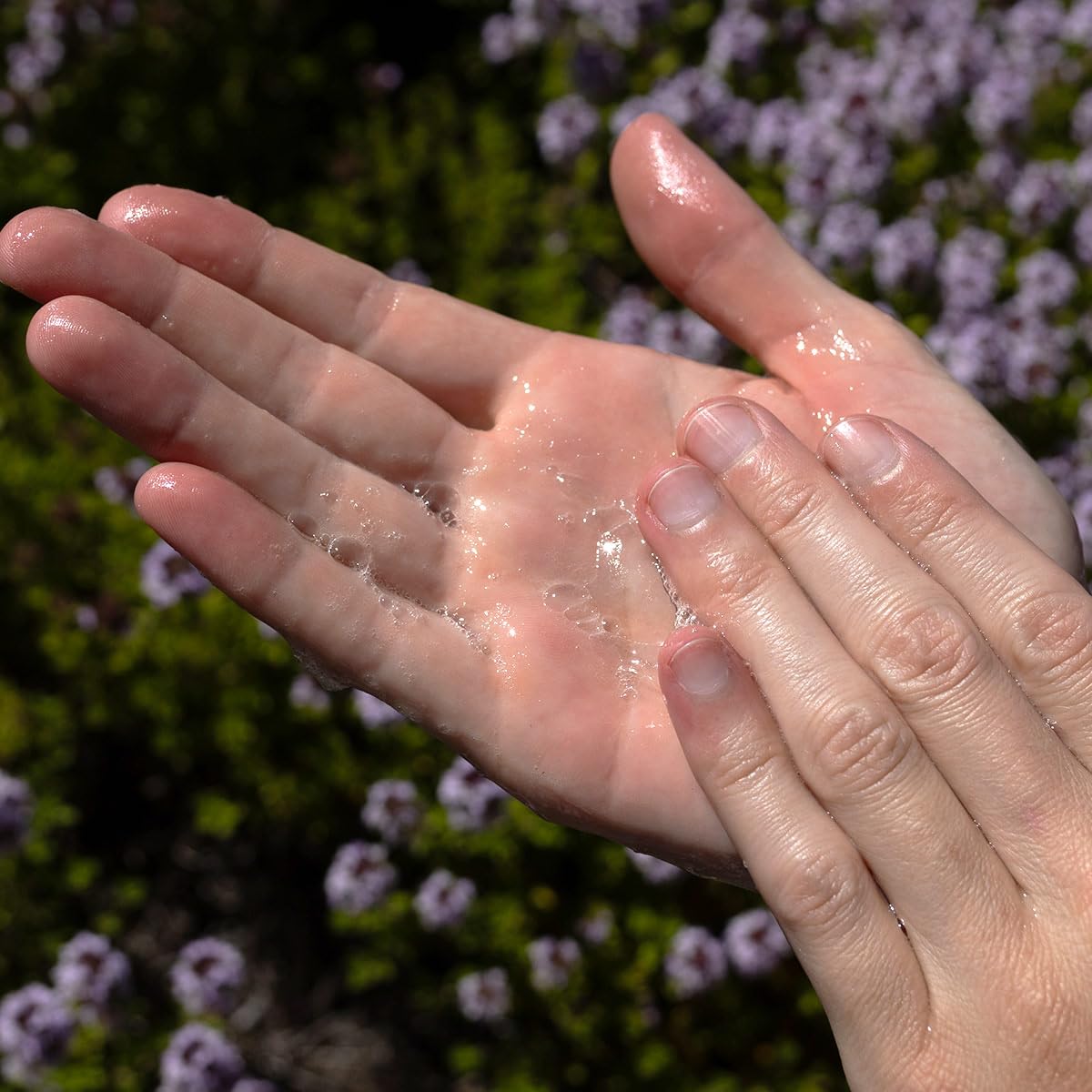 Evanhealy Tea Tree Gel Cleanser lavender oil drop evokes soothing aroma.