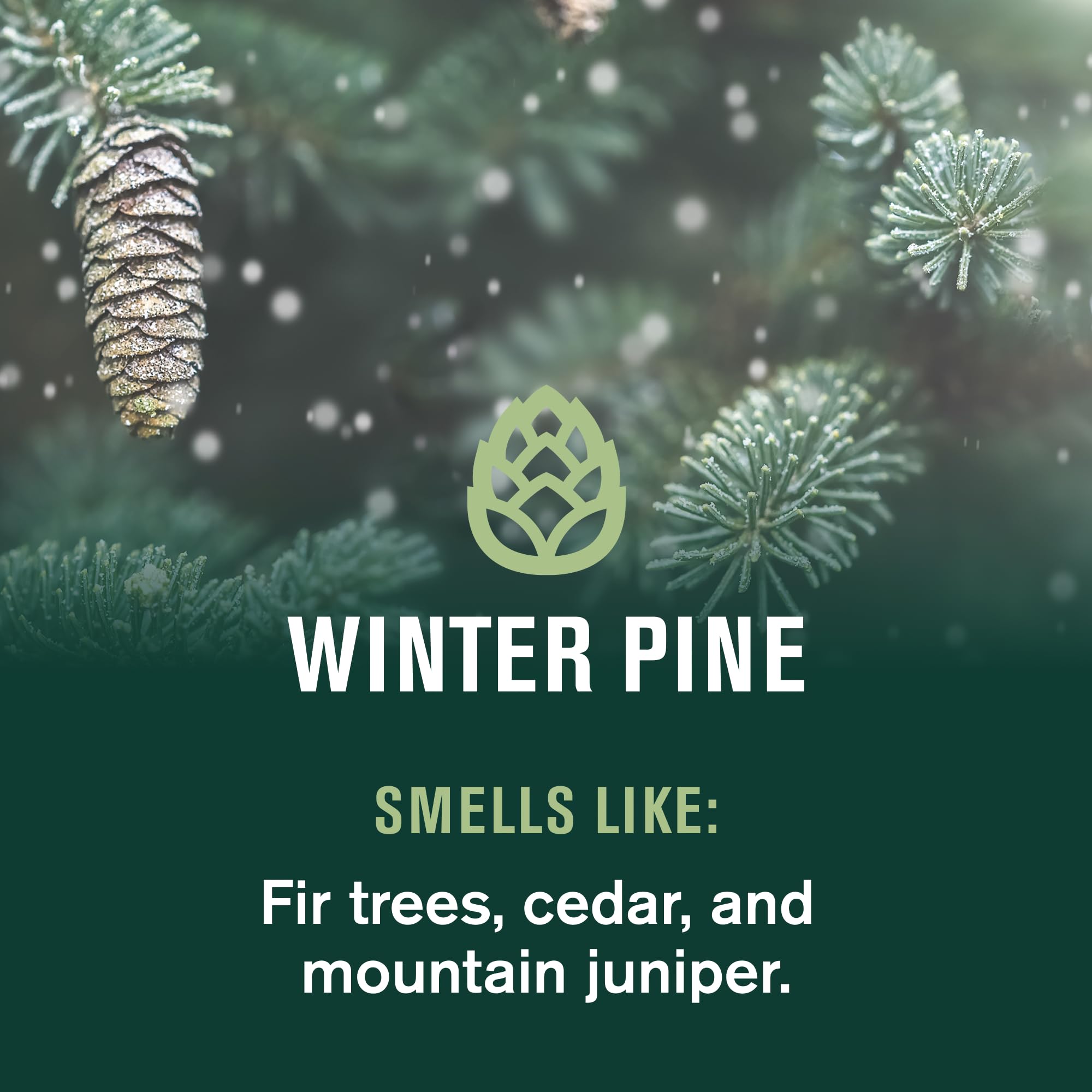 Every Man Jack Winter Pine label-details show clean ingredients and USA manufacturing.