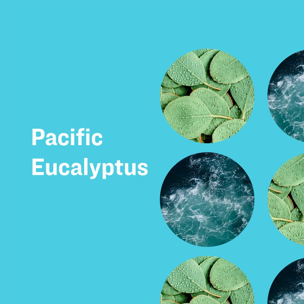 Ingredients badge hints at natural botanicals in Everyone for Every Body SOAP PACIFIC EUCALYPTUS.