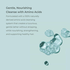 Hair after washing with EVOLVh UltraShine Moisture Shampoo shows softness and manageability