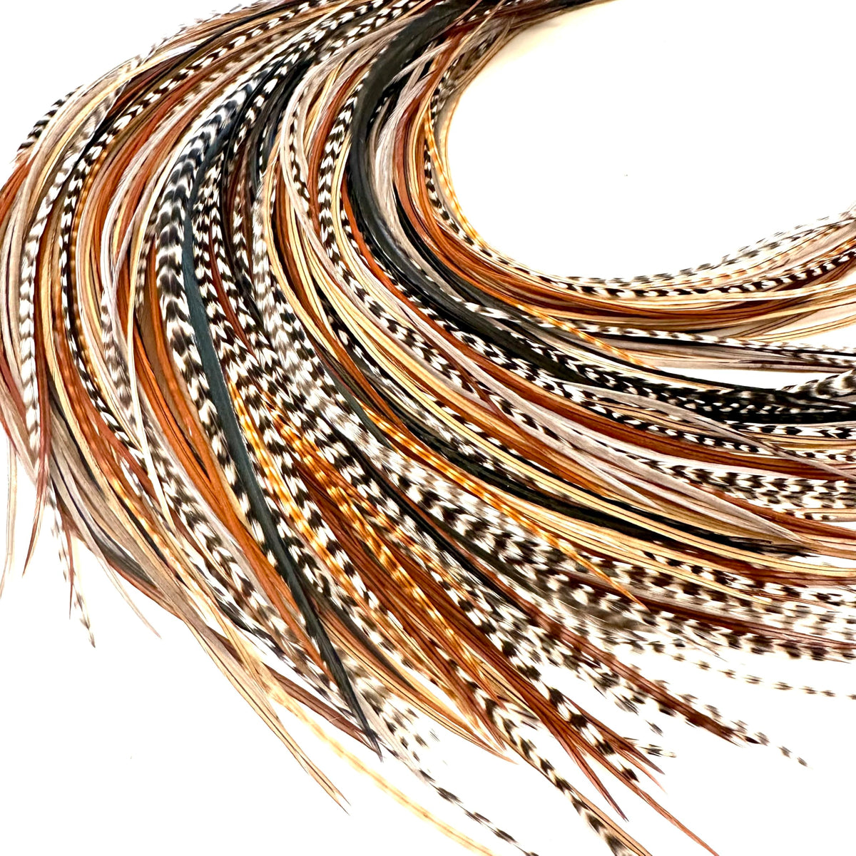 Feather Headz 21 natural color extensions closeup feathers for easy daily boho styling