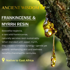 FeeMeFee frankincense balm-application-on-hand demonstrates smooth absorption and non-greasy feel.