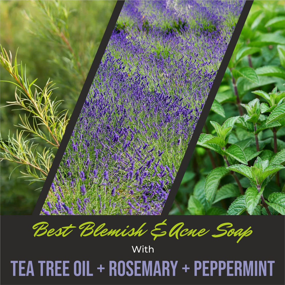 First Botany Rosemary Mint Body Wash scent close-up evokes cooling peppermint aroma