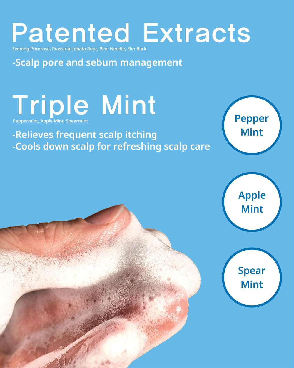 FIT YOUR SKIN SAN TTEUT label closeup shows paraben and SLS-free formula