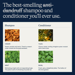 Flakes conditioner rinse on wet hair showing detangling and easy styling benefits.