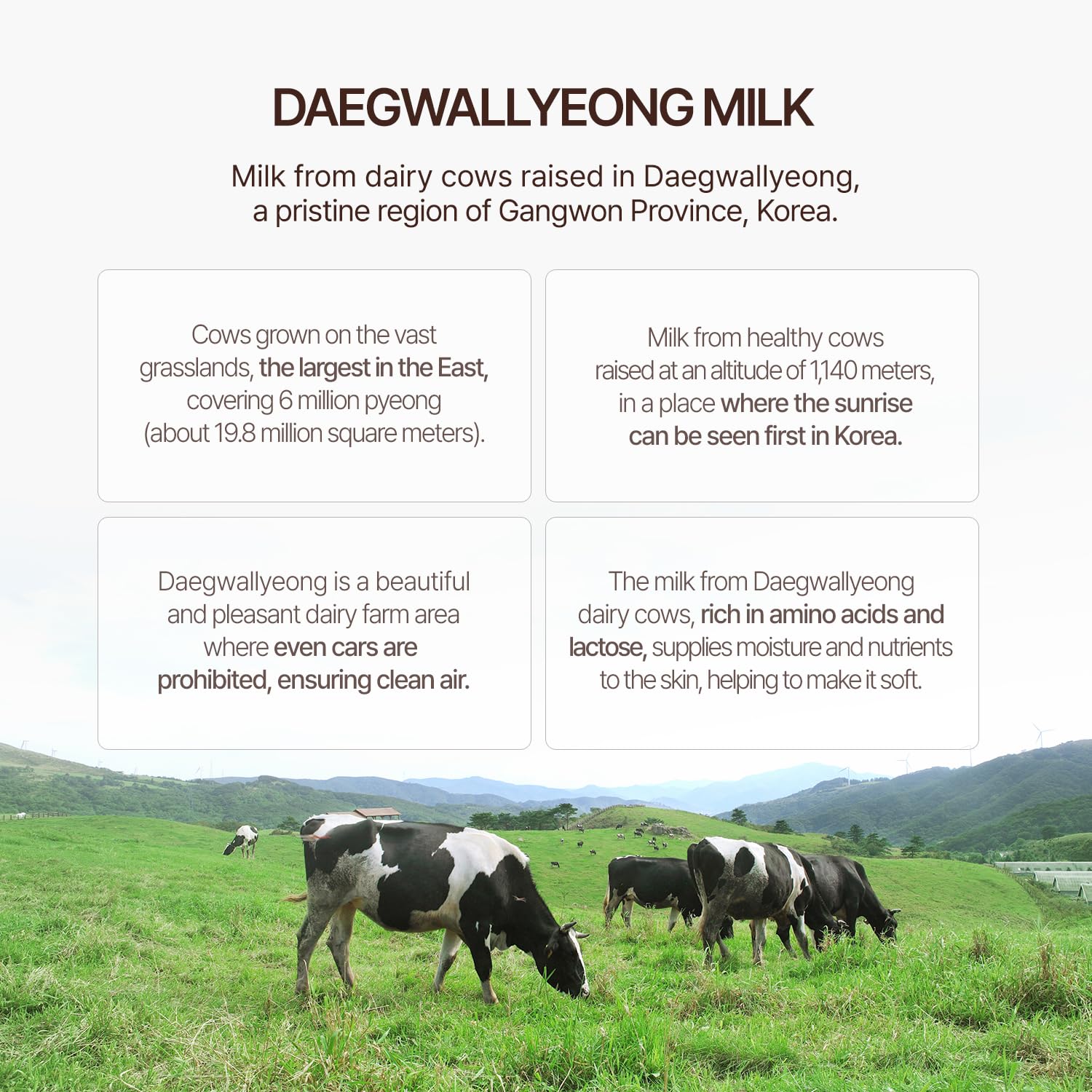 Flor de Man COSMOCOS Somang Milk ingredients image highlights coconut milk benefits for skin