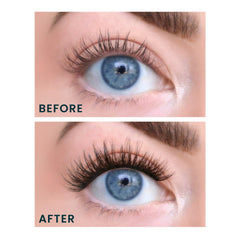 FlutterHabit Water Lily Lash Clusters six-sets display showing 11-13mm lashes for doll-eyed look.