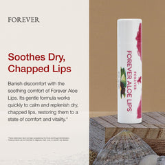 Forever Living Aloe Lips 12-pack display for easy, on-the-go lip care.