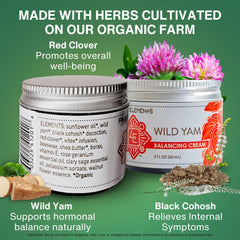 Four Elements 4E Wild Yam ingredients close-up highlighting organic decoctions for skin-friendly balance.