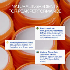 Freaks of Nature Peak Performance Sun Stick includes vegan squalane and silk protein for hydration.