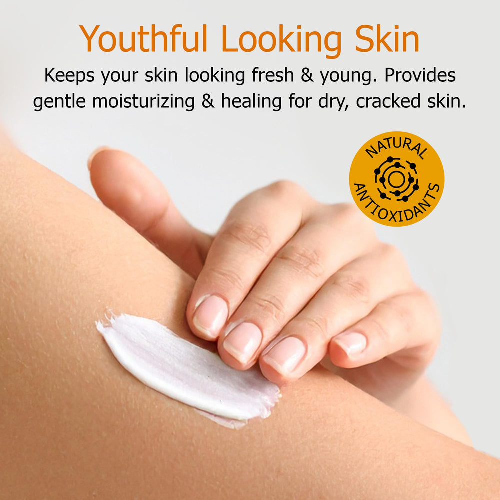 Fruit of the Earth Vitamin E Lotion bottle back highlights gentle, natural ingredients.