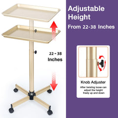 FWOD BIBTO salon tray adjustable height enables customized styling setup