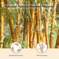 GAINWELL Bamboo Hair Brush bamboo-pin-end-balls closeup demonstrates scalp-stimulating tips.