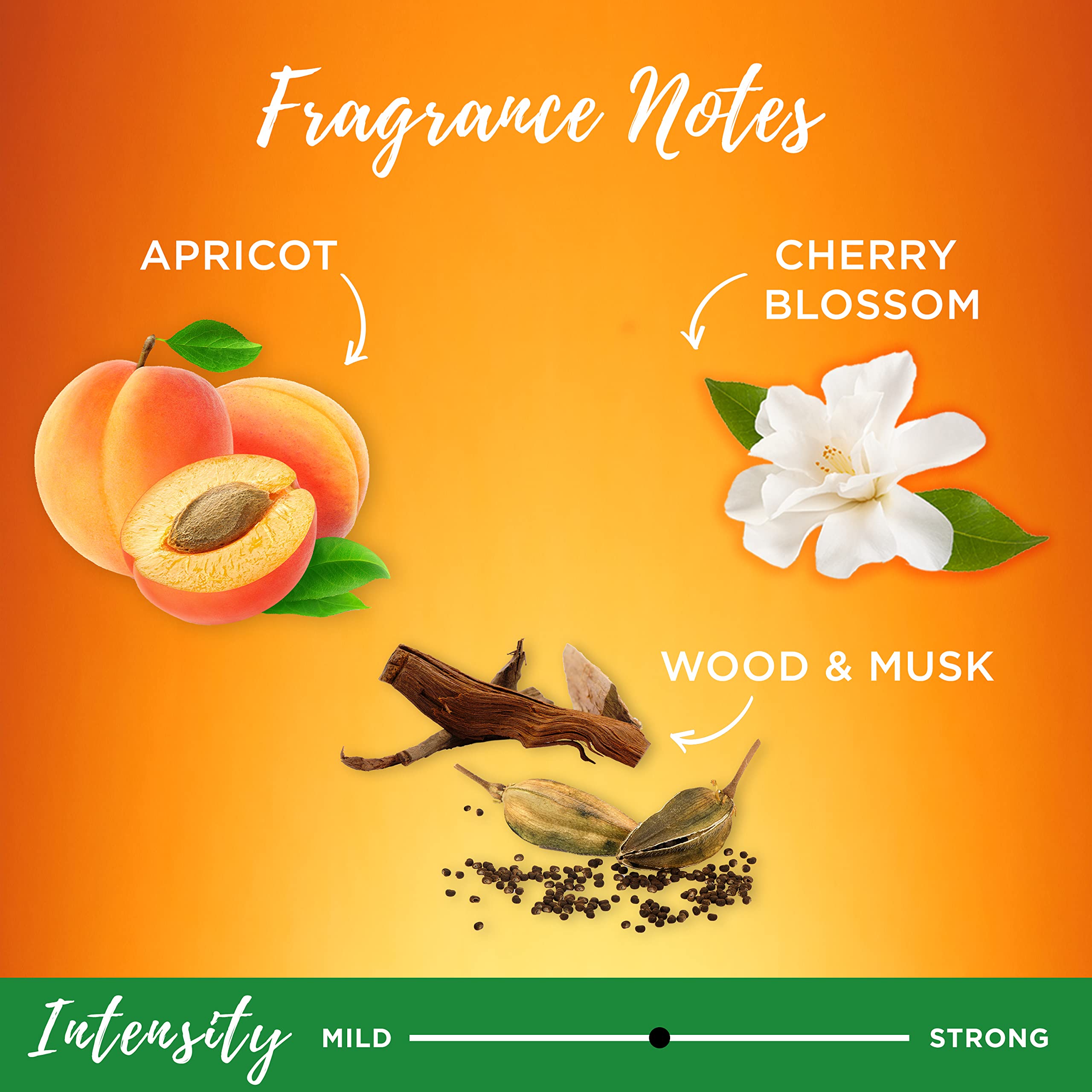 Garnier Whole Blends argan-oil camellia-oil ingredients label highlights nourishment