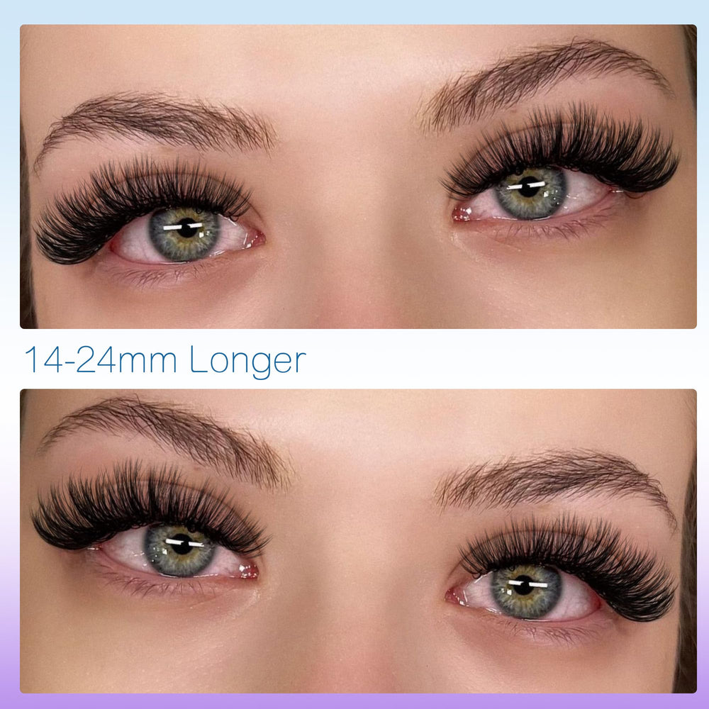 Geeneiya D curvature wispy lashes for natural or bold looks.