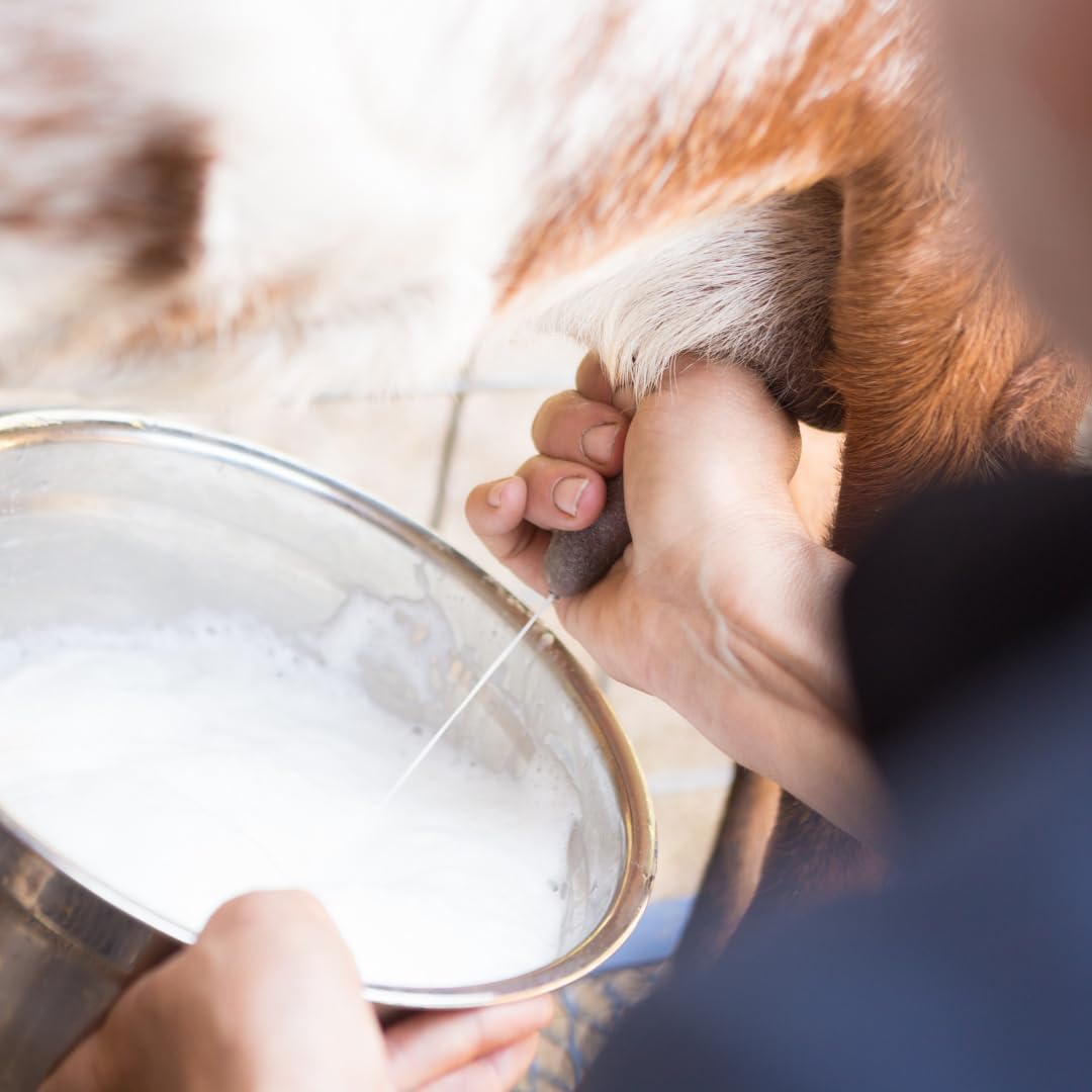 Close-up of the lotion's rich, creamy texture.