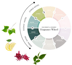 Gilchrist & Soames Zero% Collection shampoo label closeup highlights premium formulation.