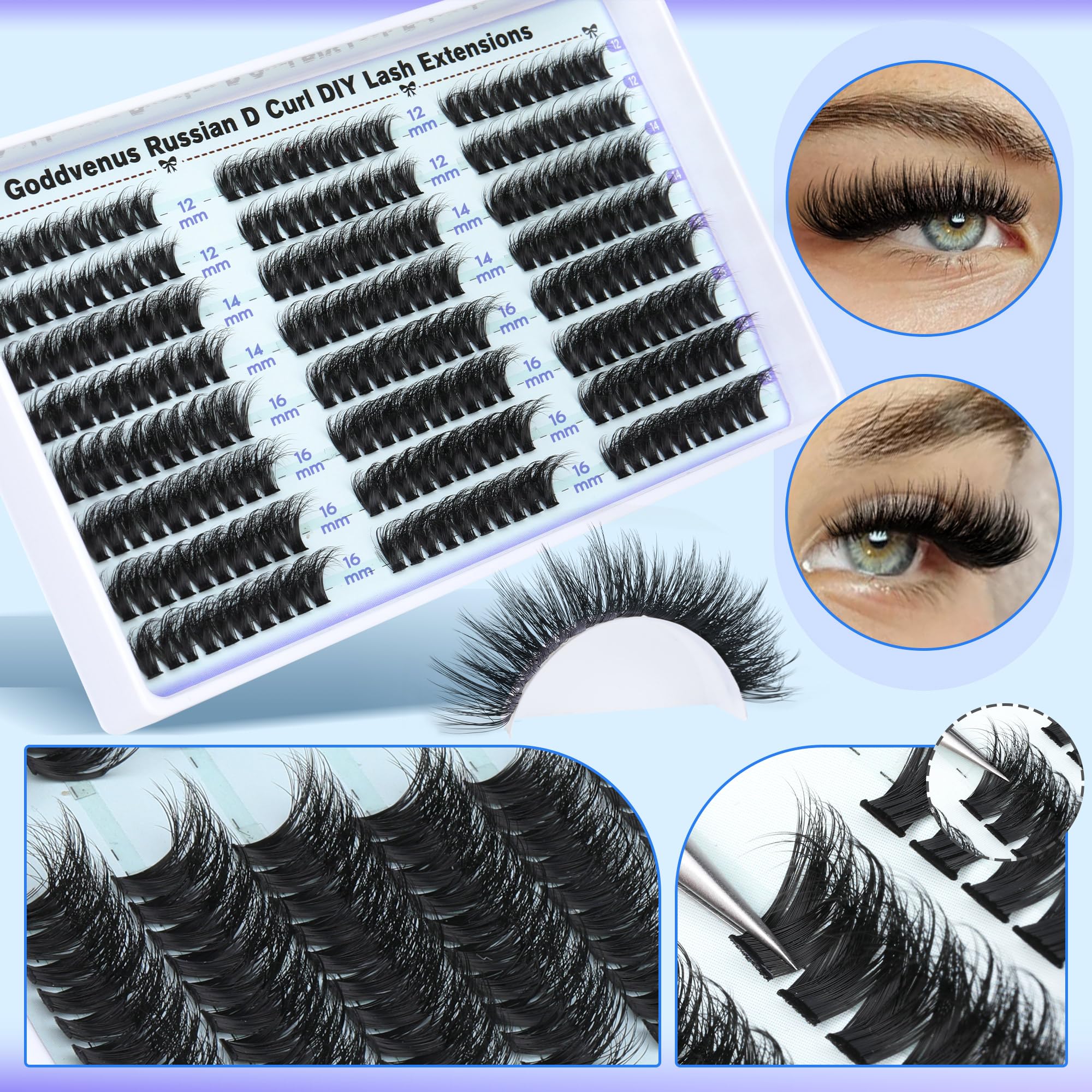 Goddvenus D Curl lash clusters shown in closeup with defined curl.