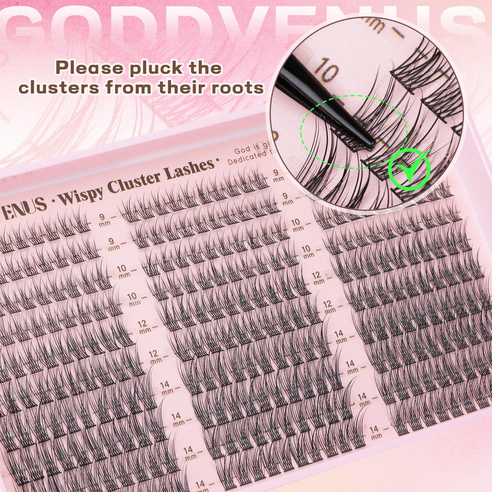 Goddvenus short C-curve design delivers a natural curl for most eye shapes