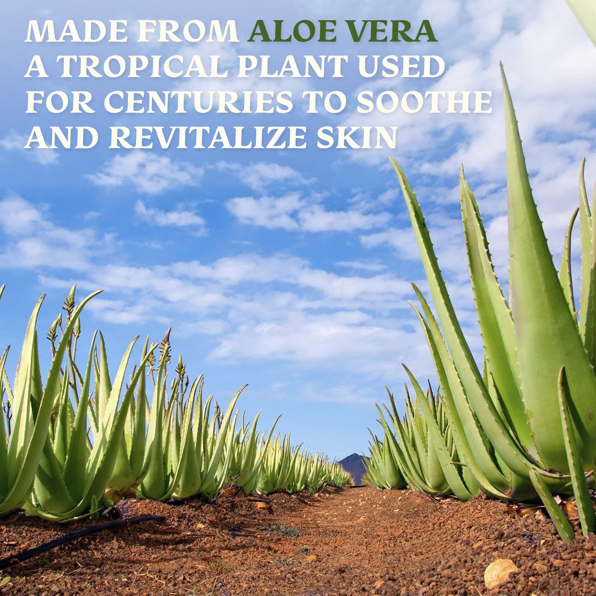 Green Leaf Naturals aloe vera gel 8oz bottle for convenient daily use