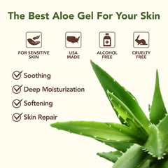 Green Leaf Naturals aloe vera gel texture closeup for quick absorption