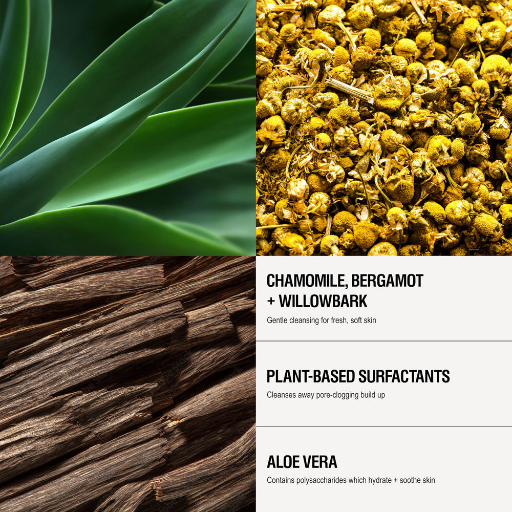 Grown Alchemist Aloe Vera Chamomile ingredients close-up emphasizing calming formula
