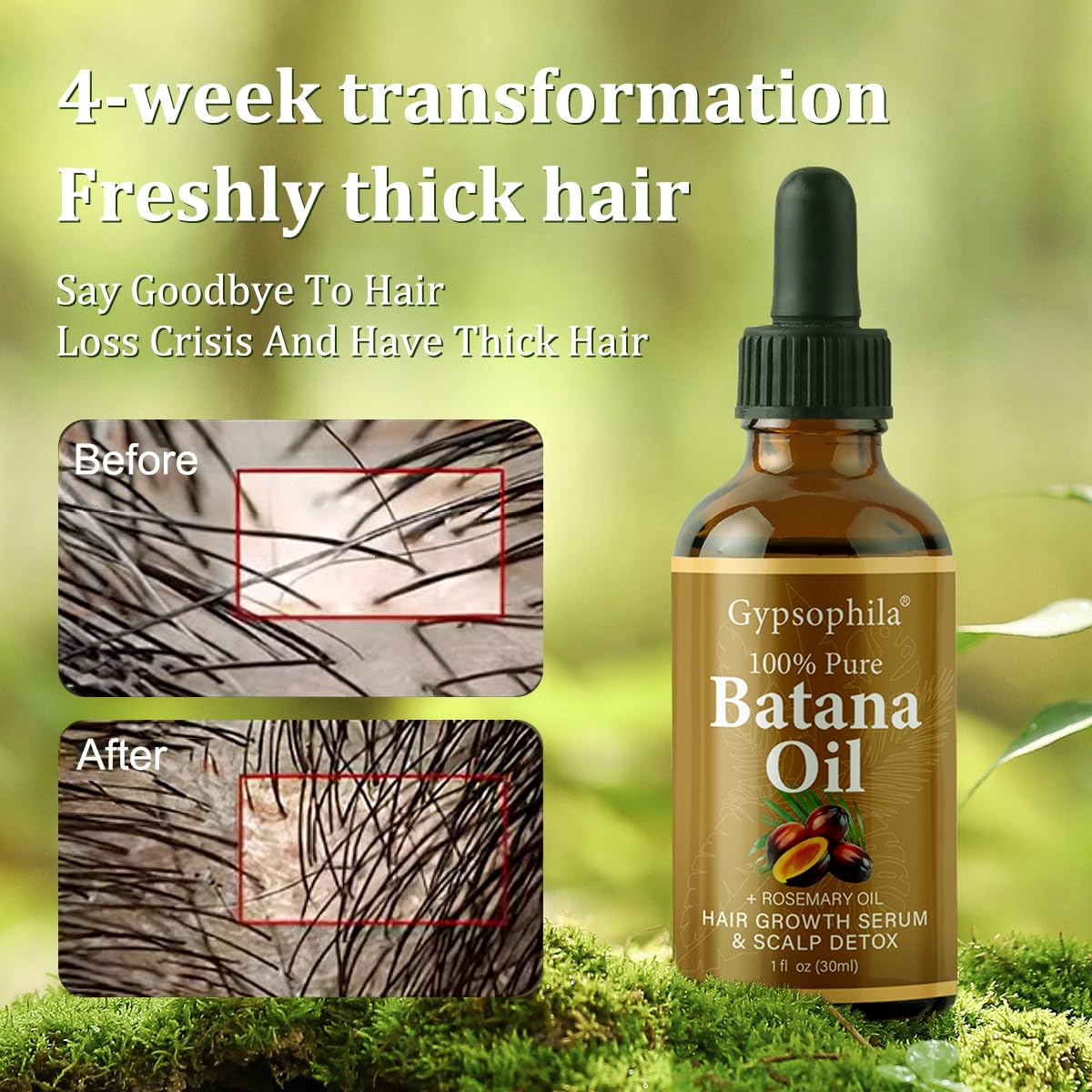 Gypsophila Batana Oil scalp application visual highlights massage for renewal and moisture.