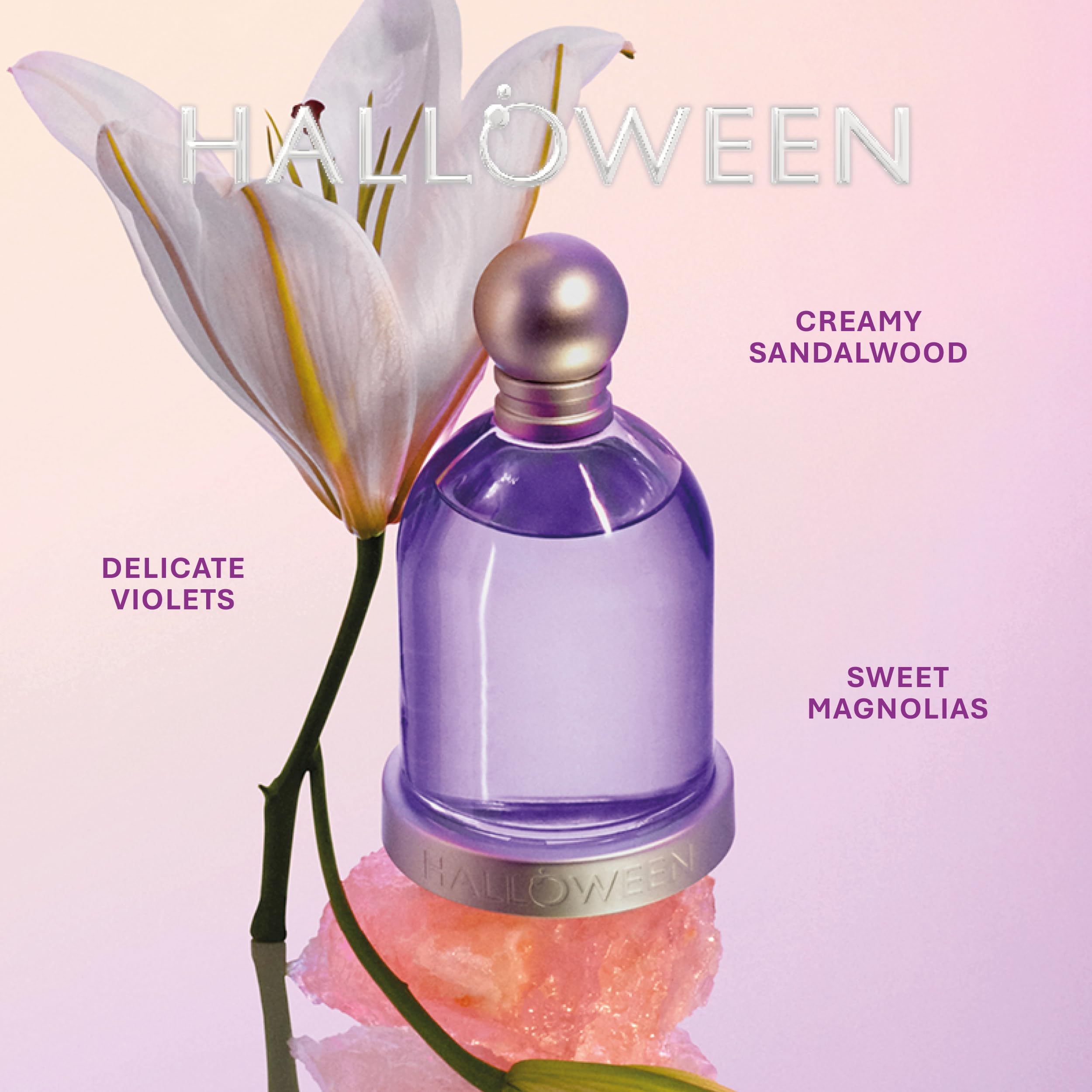 Halloween packaging front view highlighting retail box ideal for gifting