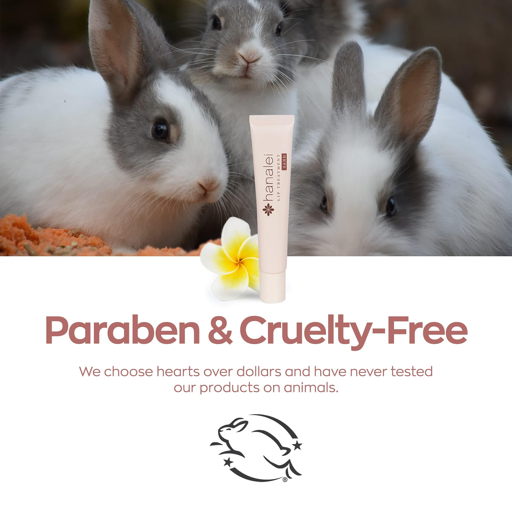 Hanalei Lip Treatment travel-size pack alongside full-size for on the go