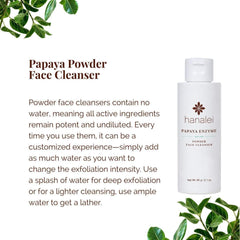 Hanalei Papaya Powder Cleanser papaya enzyme illustration