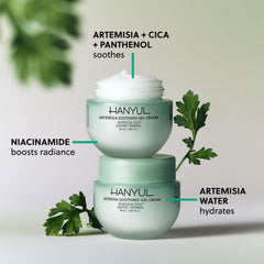 Hanyul Artemisia Soothing Gel Cream texture closeup shows lightweight, non-greasy feel.