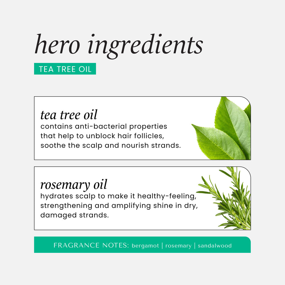 HASK aromatherapy scent visualization with bergamot rosemary sandalwood energizes routine
