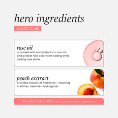 HASK Color Care Shampoo lather close up suggests gentle cleansing.