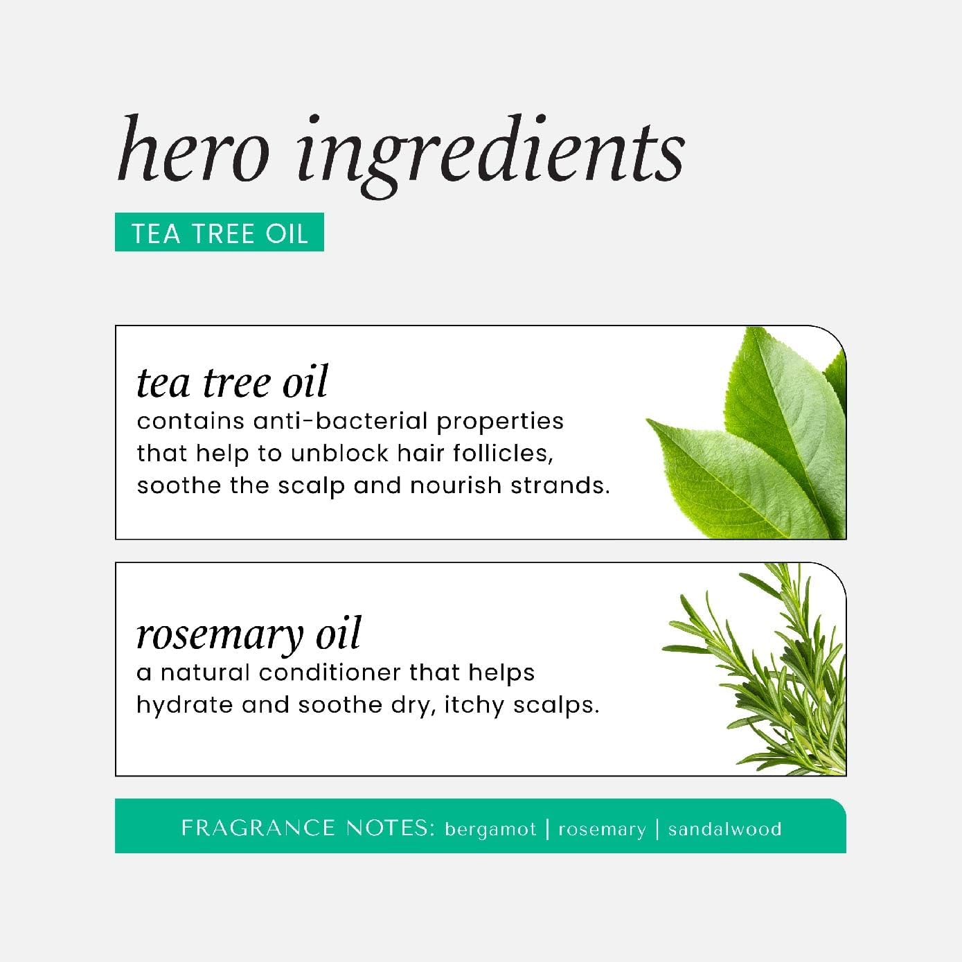 HASK Tea Tree Leave-In bottle being dispensed during styling