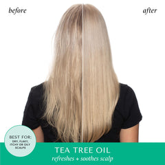 HASK tea tree rosemary shampoo lather close-up shows gentle cleansing
