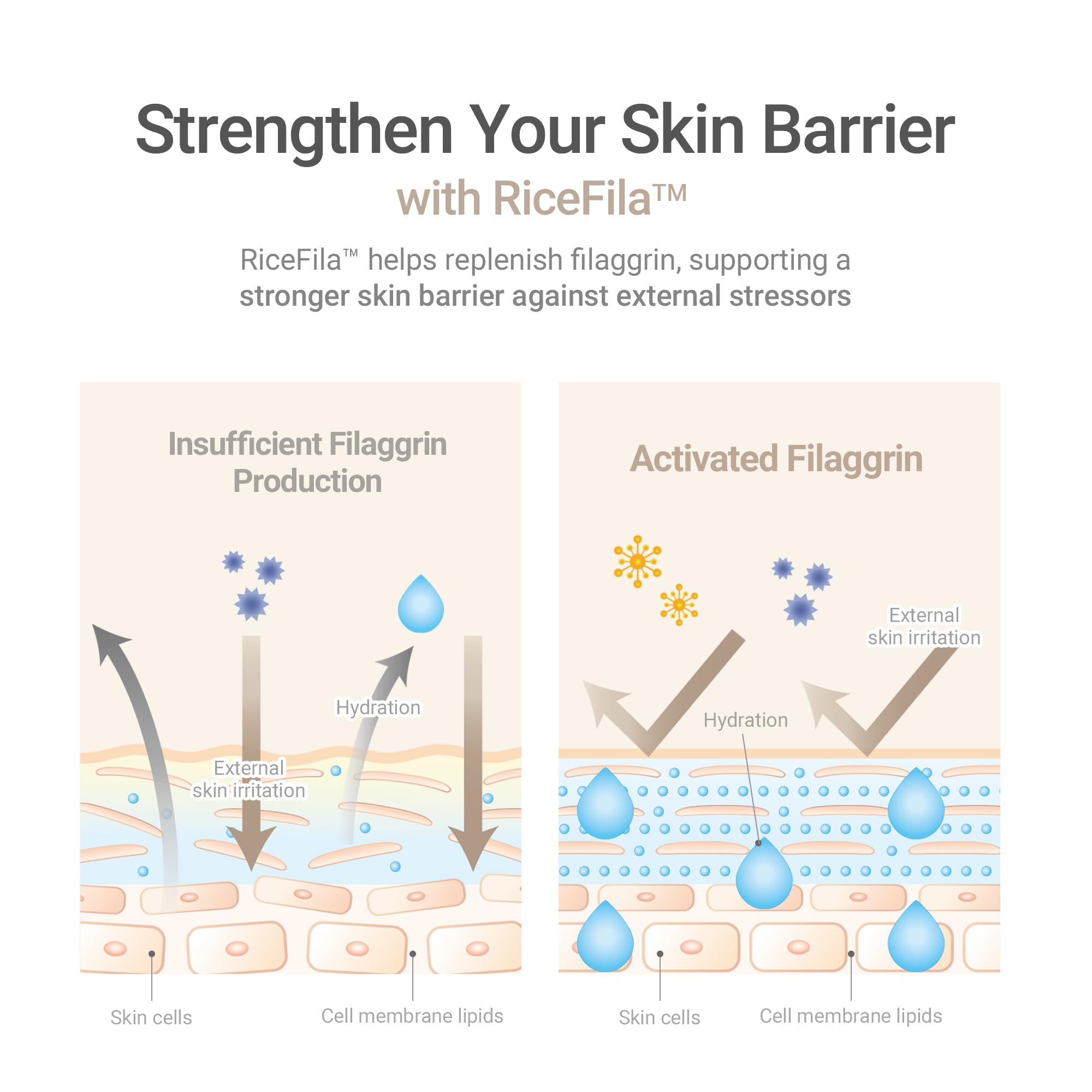 HAYEJIN RiceFila Milk Toner peptides offer potential firming and glow.