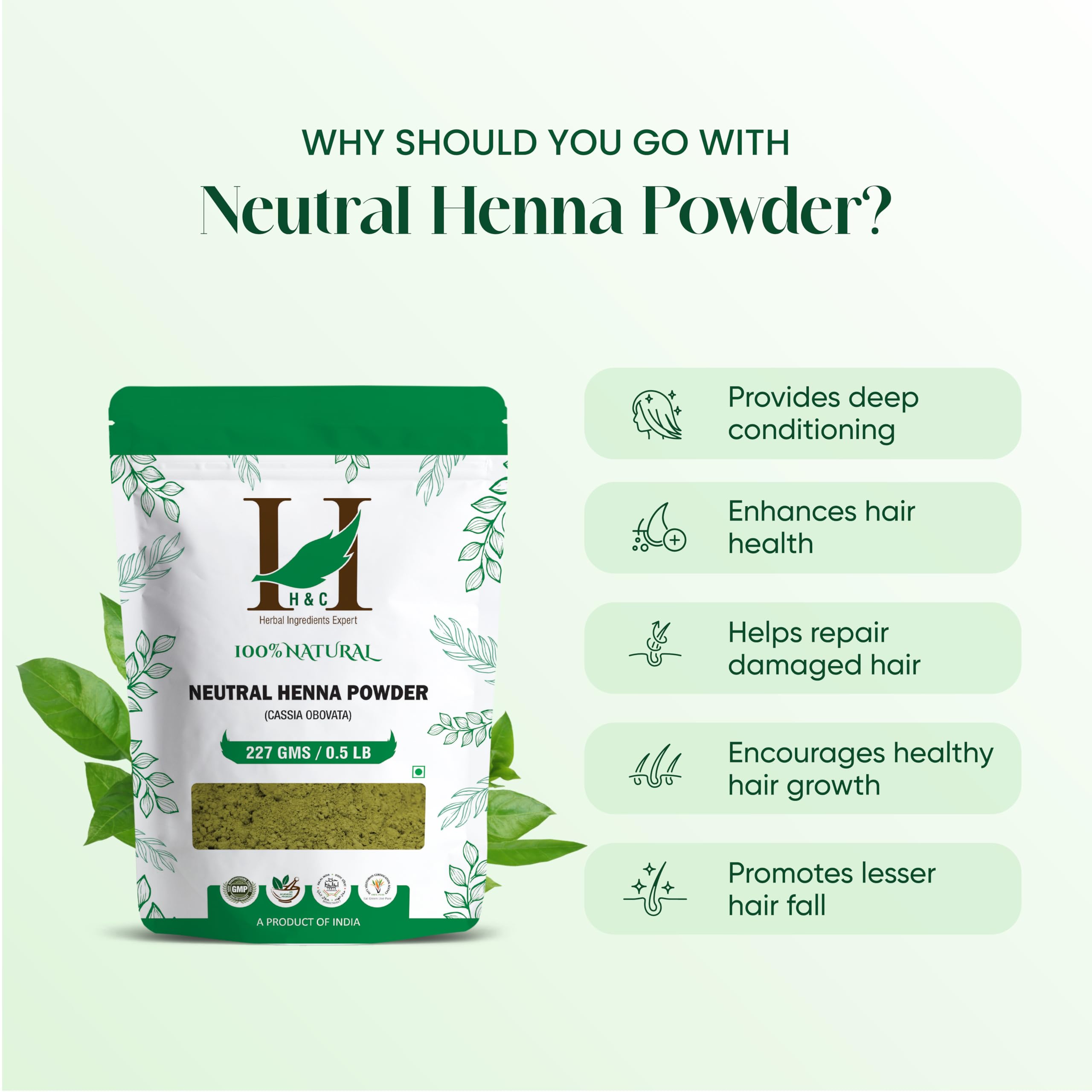 H&C Colorless Henna application on hair for conditioning.