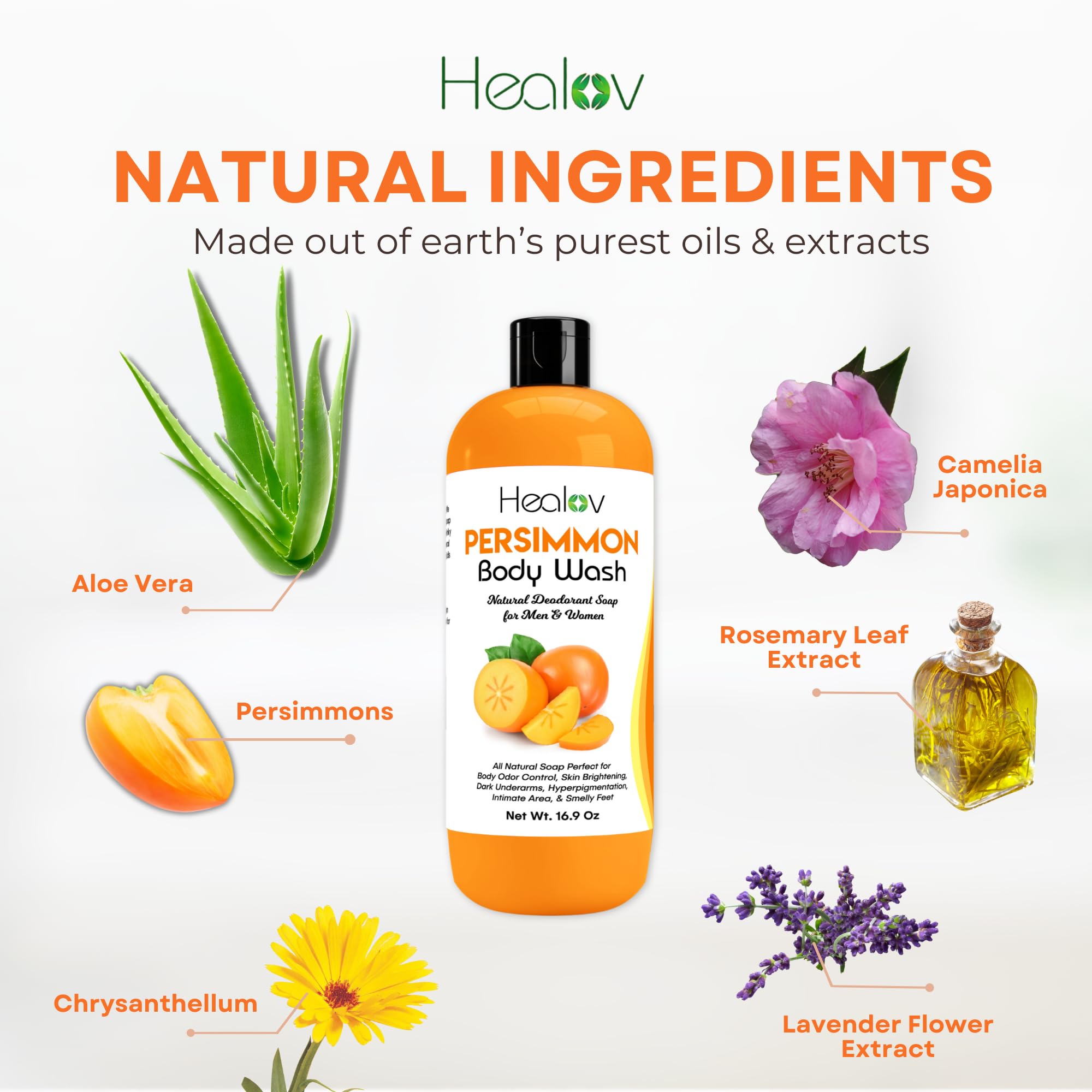 Healov Persimmon Body Wash kid-safe formula gentle for families