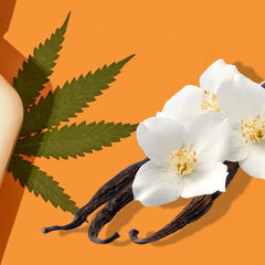 Hempz Age-Defy shea butter aloe highlights nourishing botanicals for supple skin.